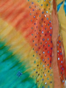 Mirror Work Saree