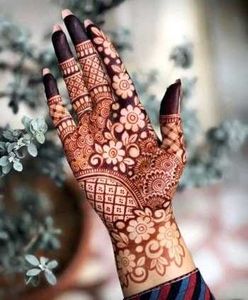 Fiza Special Mehndi Cone Dulhan