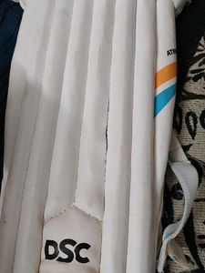 DSC Cricket Batting Pads