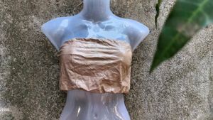 2121. Brown Tube Top