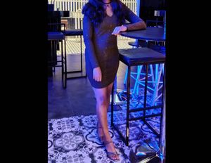 Sparkly Bodycon Mini Dress