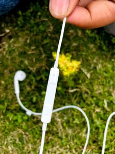 Apple Original Earphone (Got While Buying iphoneSE