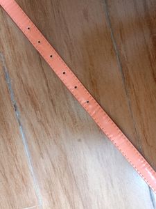 Belt