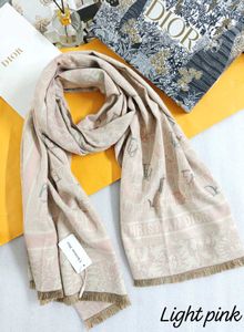 Dior Branded Stole Master Copies New Stock