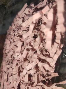 Packing Paper Fill and ribbons