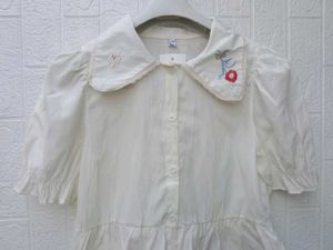 New with tag Pinterest Cute Embroidered Collar Blo