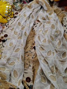 Elegant Embroidered Dupatta