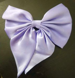 Satin Elegance Bow Collection 🎀 Set Of 5
