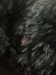 Black Faux Fur Jacket