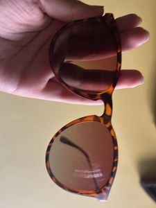 Sunglasses - Brown Tint