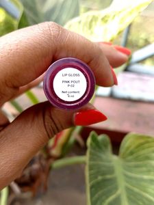 Zudio Hi-Shine Gloss