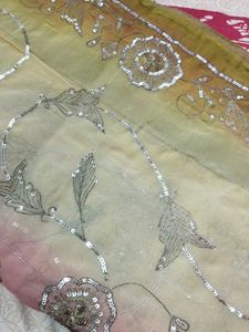 Embroidered multi colored saree