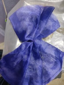 Organza Dress With Hair Bow