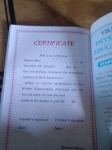 Vikas Work Experience 7th Standard