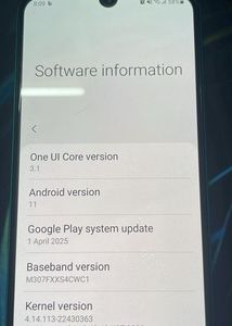 Samsung Galaxy M30s