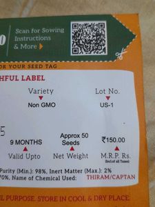 VEGETABLE SEEDS-CHERRY TOMATO