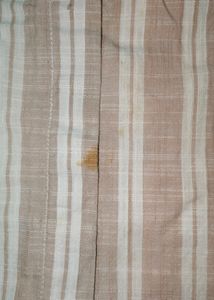 tokyo talkies crop top