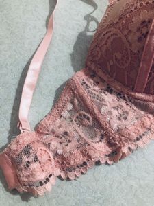 New Lace Detail Bra
