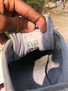 Adidas Continental 80