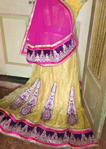 Bridal lehenga choli