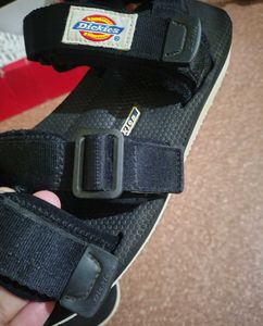 Dickies Sandal Men
