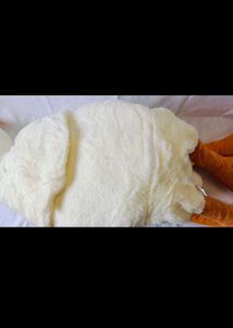 5 Feet Long Cute Swan 🦢 Plush