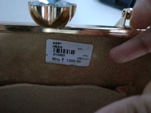 Elegant Clutch with Chain