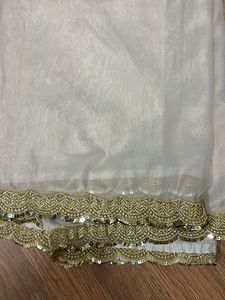 Shimmery Beautiful Duptta