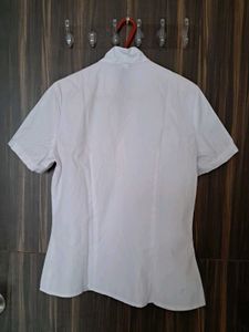 White Short Sleeve V-Neck Blouse