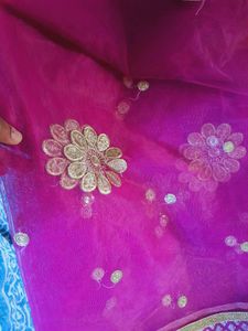 Pink Embellished saree