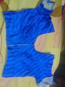 Blue Lined Blouse For Woman