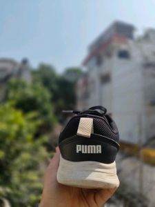 Puma Sport Shoes
