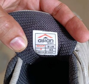 Asian Men Shoes| Grey