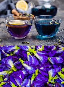 Butterfly Pea Flower Tea