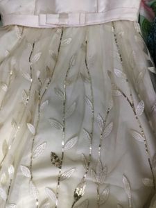 Elegant Ethnic Gown