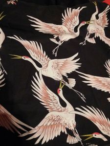 Japanese Shirt.