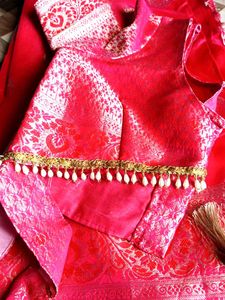 Banarasi Saree With Stylish Blouse
