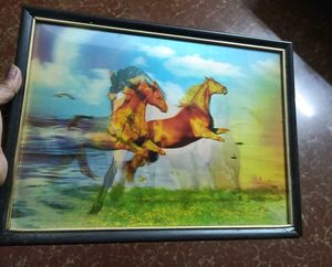 Beautiful Running Horses 3D