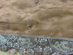 Elegant Sequin Dupatta ( Price Negotiable )