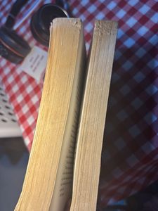 The Book Thief (Masterpiece)