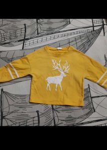 Set of 4 Preloved Unisex Sweatshirts (3 to 5 yrs)