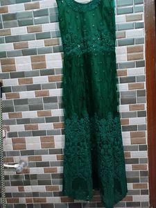 Women Net Gown