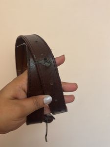 Classic Brown Belt