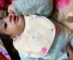 Waterproof Baby Apron With Bib