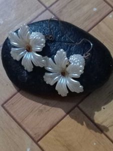 6 Earrings - Assorted Styles