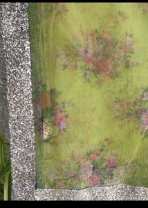 Elegant Green Printed Net &amp; Gold Bortder Dupatta