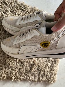 Puma Shoes For Men