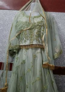 Olive Colour Lehenga&amp;  Perfect For Wedding Party