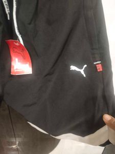 Beautiful Men Shorts New Collection With Tag
