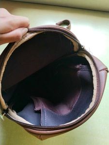 Paris Brown Backpack/Sling Bag